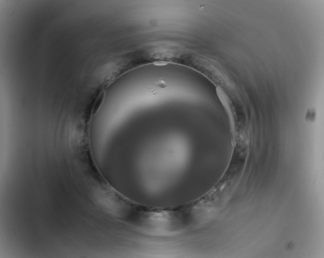 X0000102840411200808181353