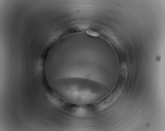 X0000102840412200808181353