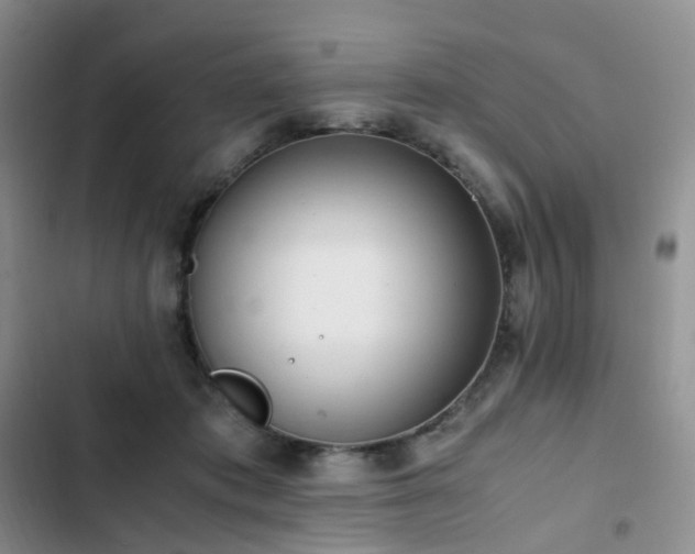 X0000102840413200808181353