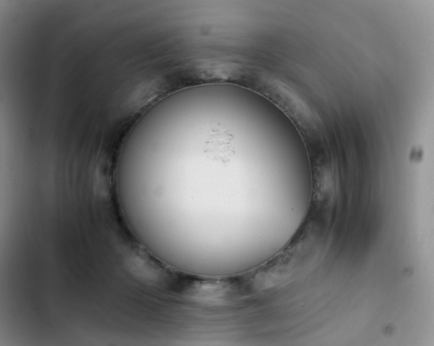 X0000102840414200808181353