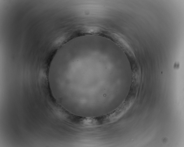 X0000102840415200808181353