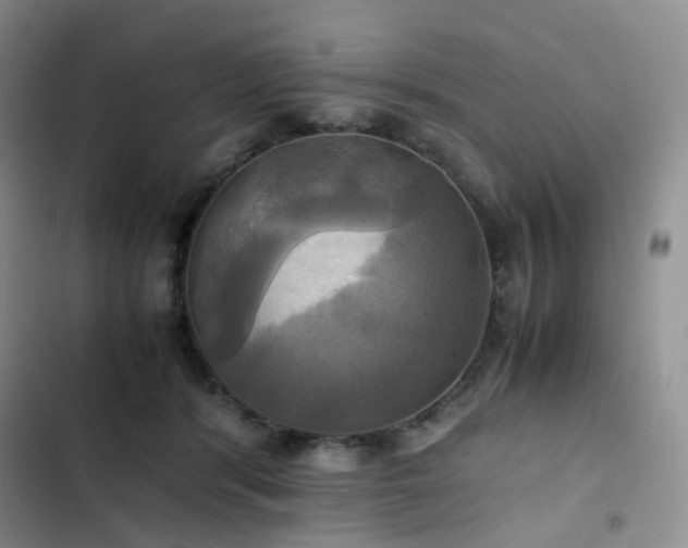 X0000102840416200808181353