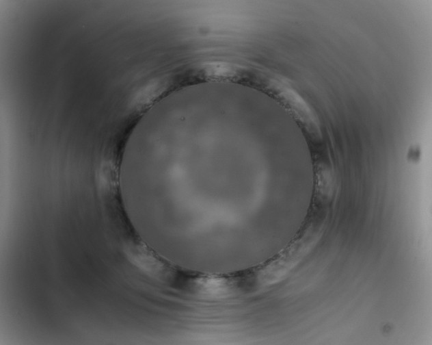 X0000102840419200808181353