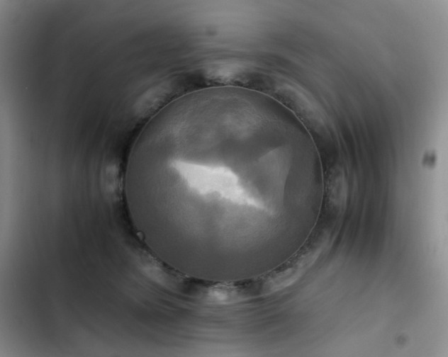 X0000102840420200808181353