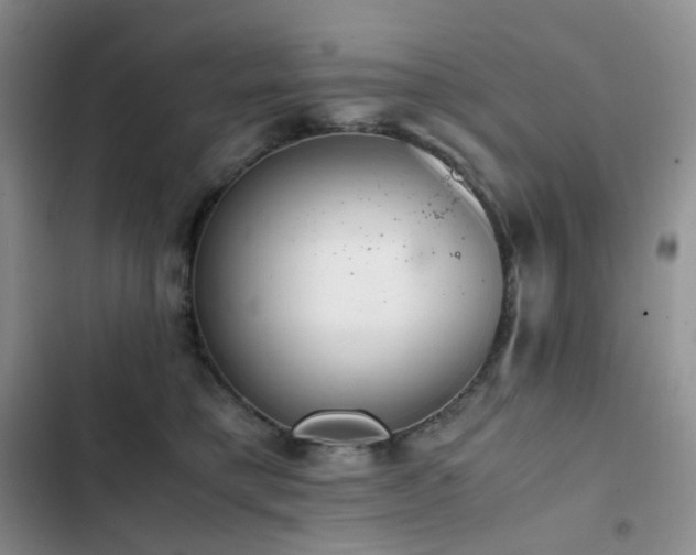 X0000102840421200808181353