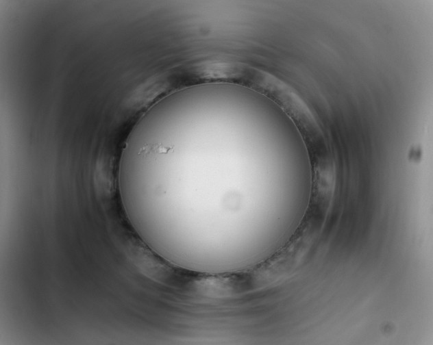 X0000102840422200808181353