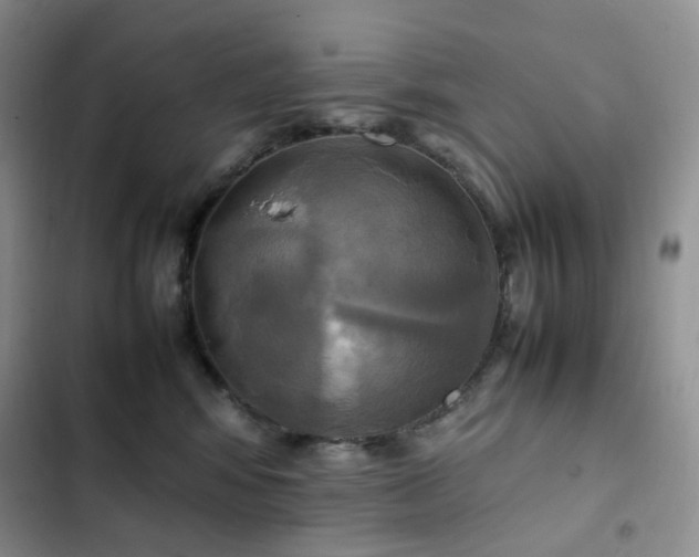 X0000102840424200808181353