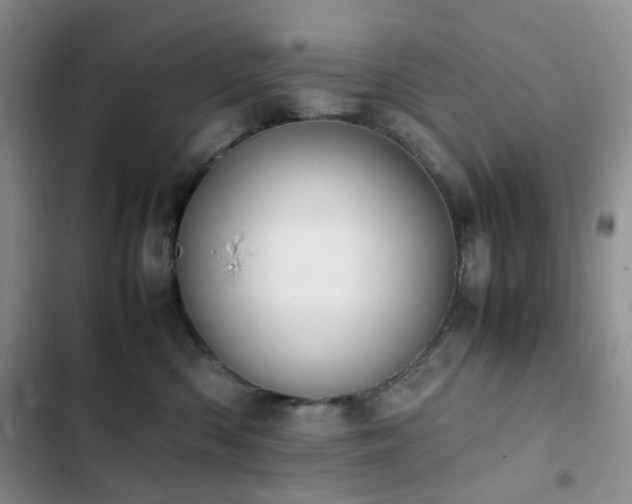 X0000102840426200808181353