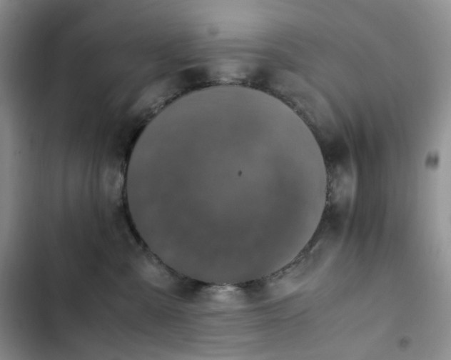 X0000102840427200808181353