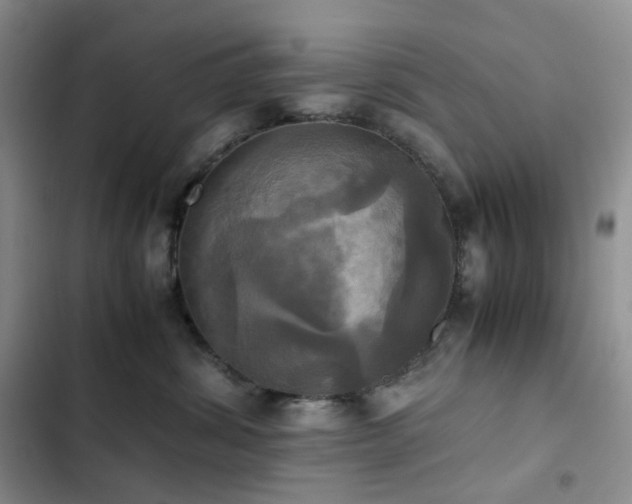 X0000102840428200808181353