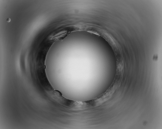 X0000102840429200808181352