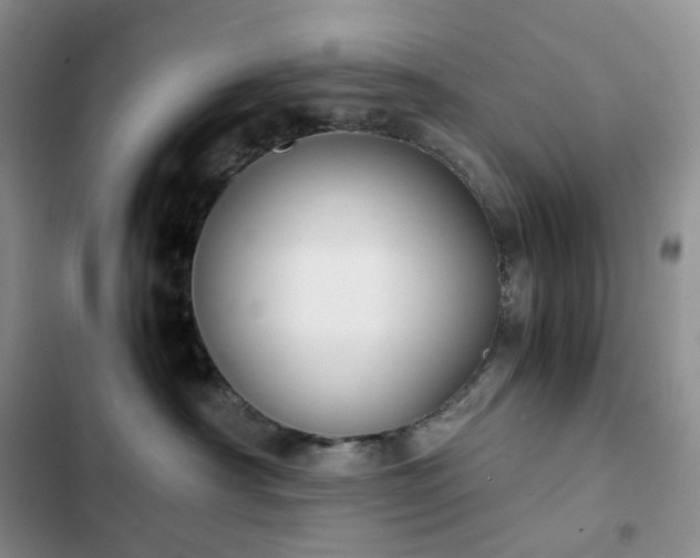 X0000102840430200808181352