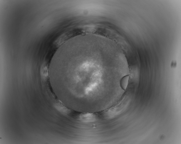 X0000102840431200808181352