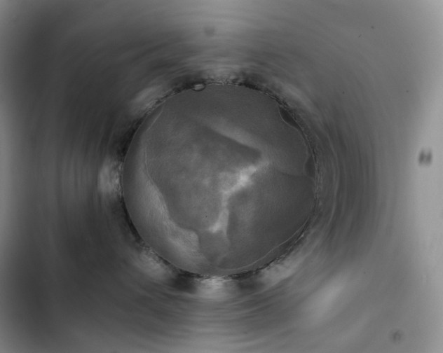 X0000102840432200808181352