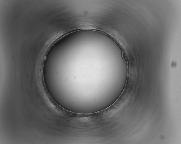 X0000102840433200808181352