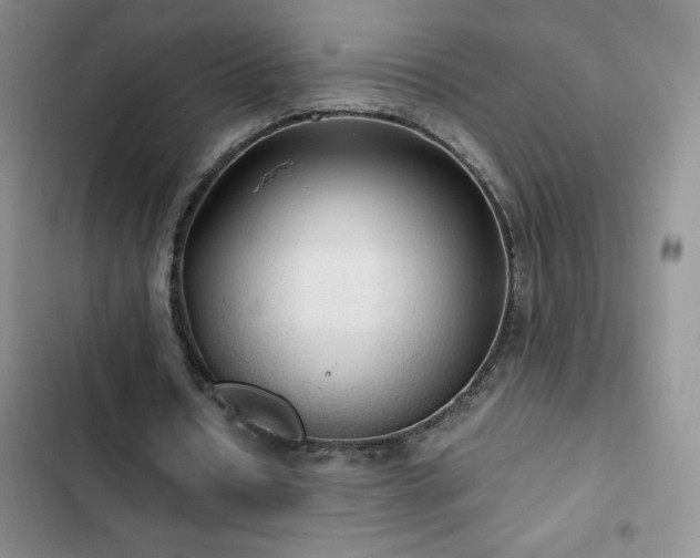 X0000102840434200808181352