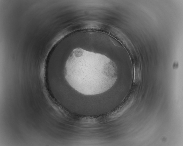 X0000102840435200808181352