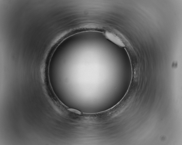 X0000102840436200808181352