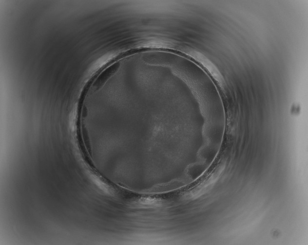 X0000102840437200808181352