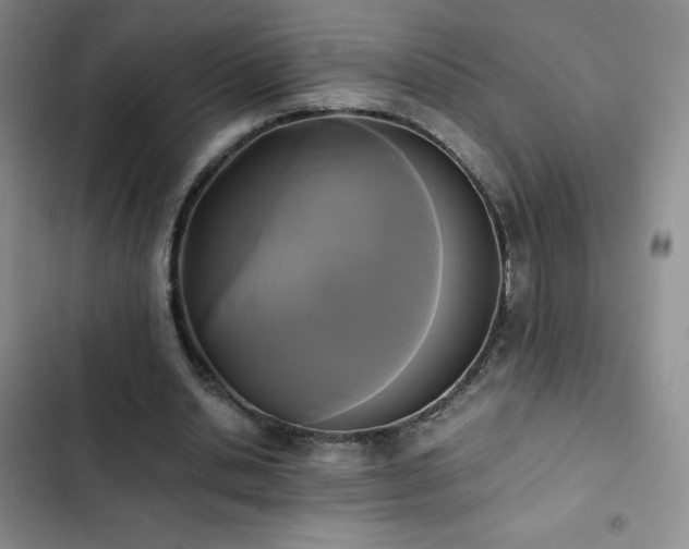 X0000102840438200808181352