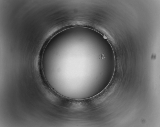 X0000102840439200808181352