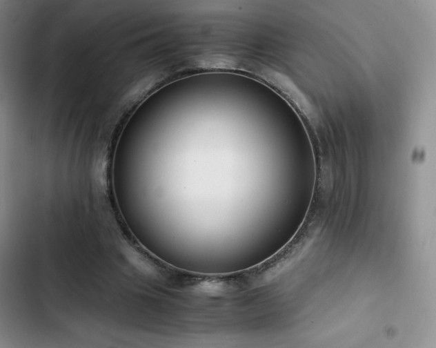 X0000102840441200808181352