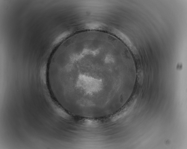 X0000102840442200808181352