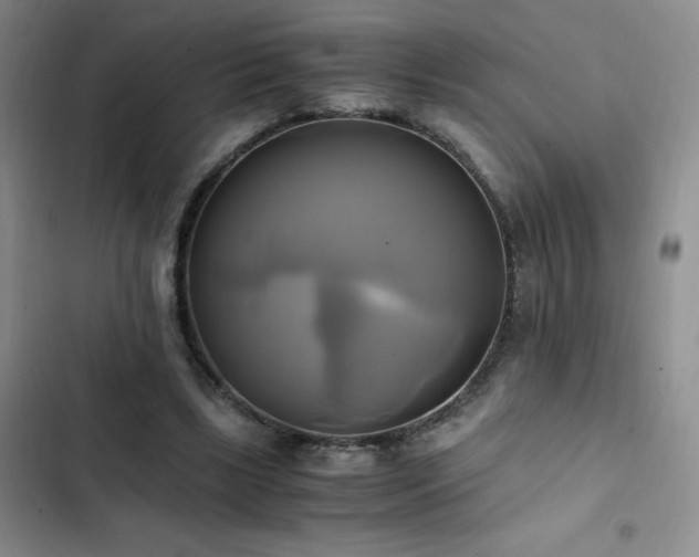 X0000102840443200808181352