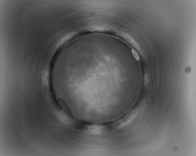 X0000102840444200808181352