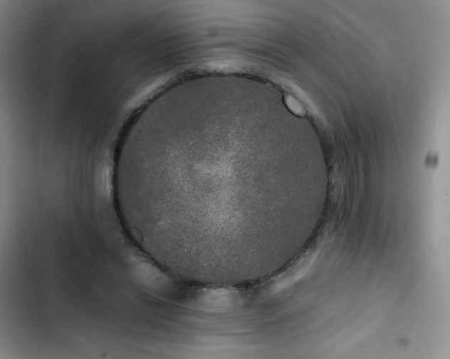 X0000102840446200808181352