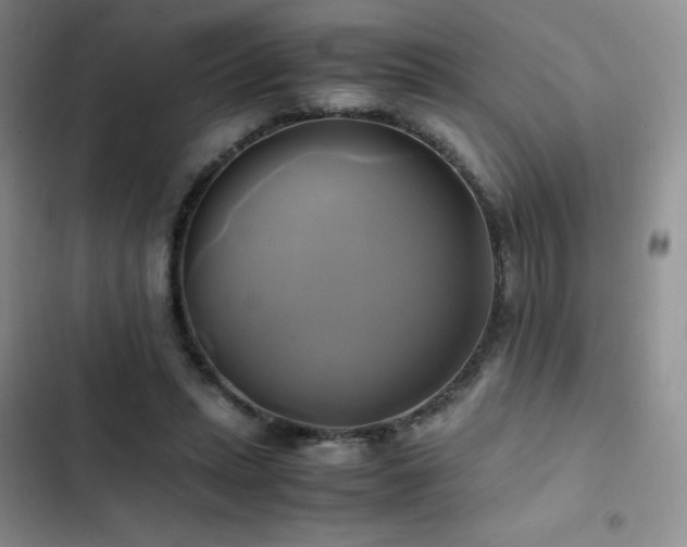 X0000102840447200808181352