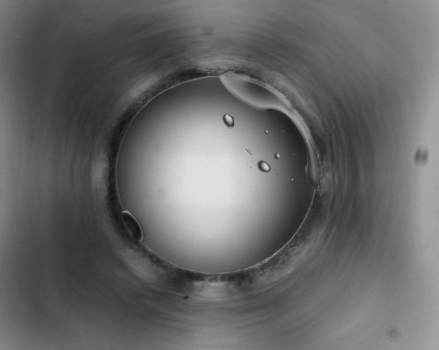 X0000102840448200808181352