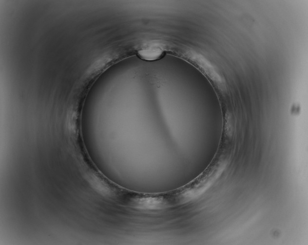 X0000102840449200808181352