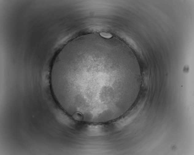 X0000102840450200808181352