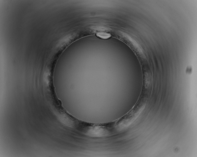 X0000102840451200808181352