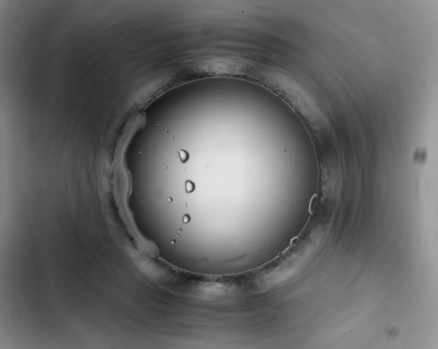 X0000102840453200808181352