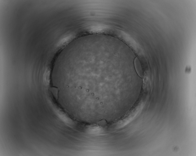 X0000102840454200808181352