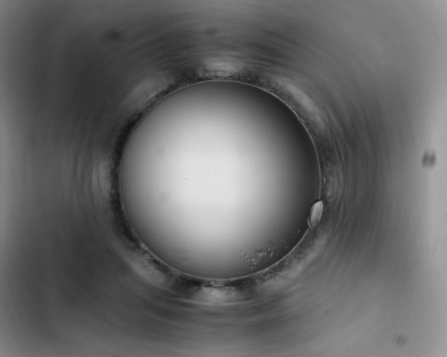 X0000102840455200808181352