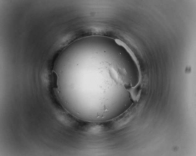 X0000102840456200808181352