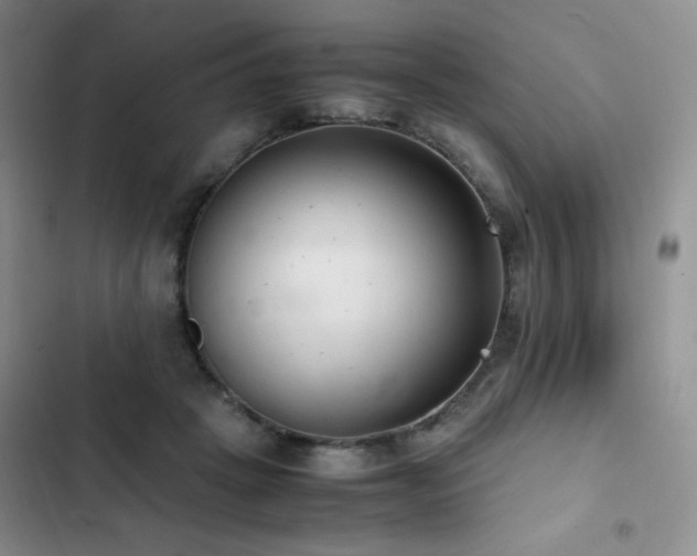 X0000102840457200808181352