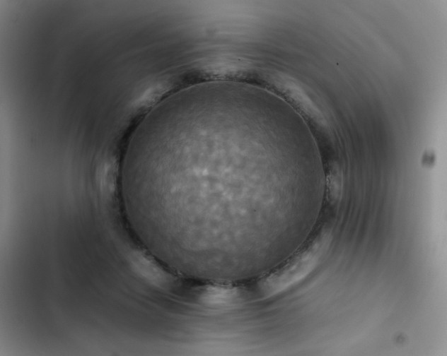 X0000102840458200808181352