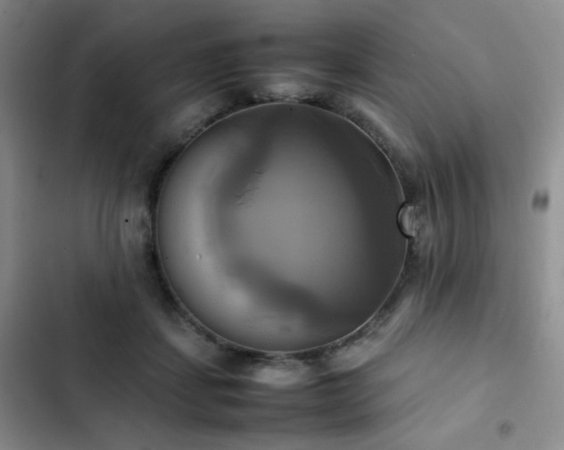 X0000102840459200808181352