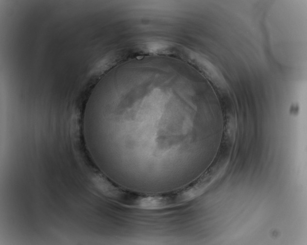 X0000102840461200808181352