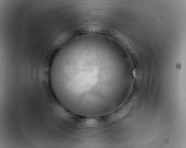 X0000102840462200808181352