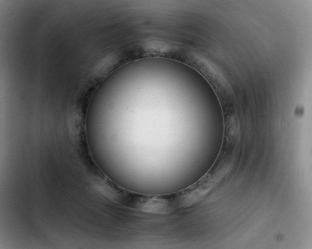 X0000102840463200808181352