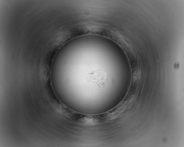 X0000102840464200808181352