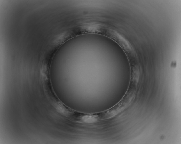 X0000102840465200808181352