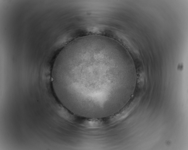 X0000102840466200808181352