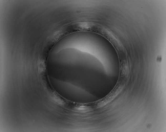 X0000102840467200808181352