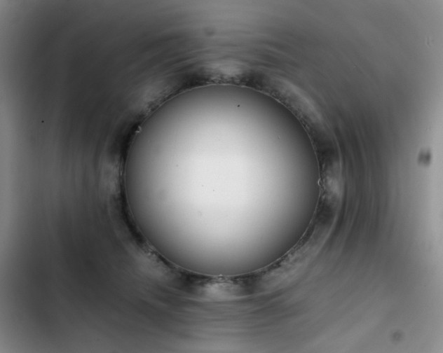 X0000102840468200808181352